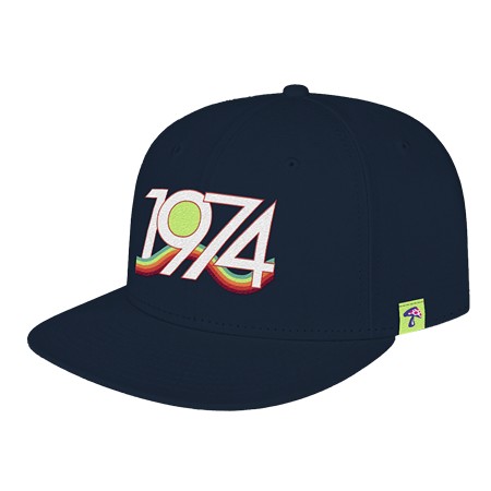 Groovy 1974 Hat